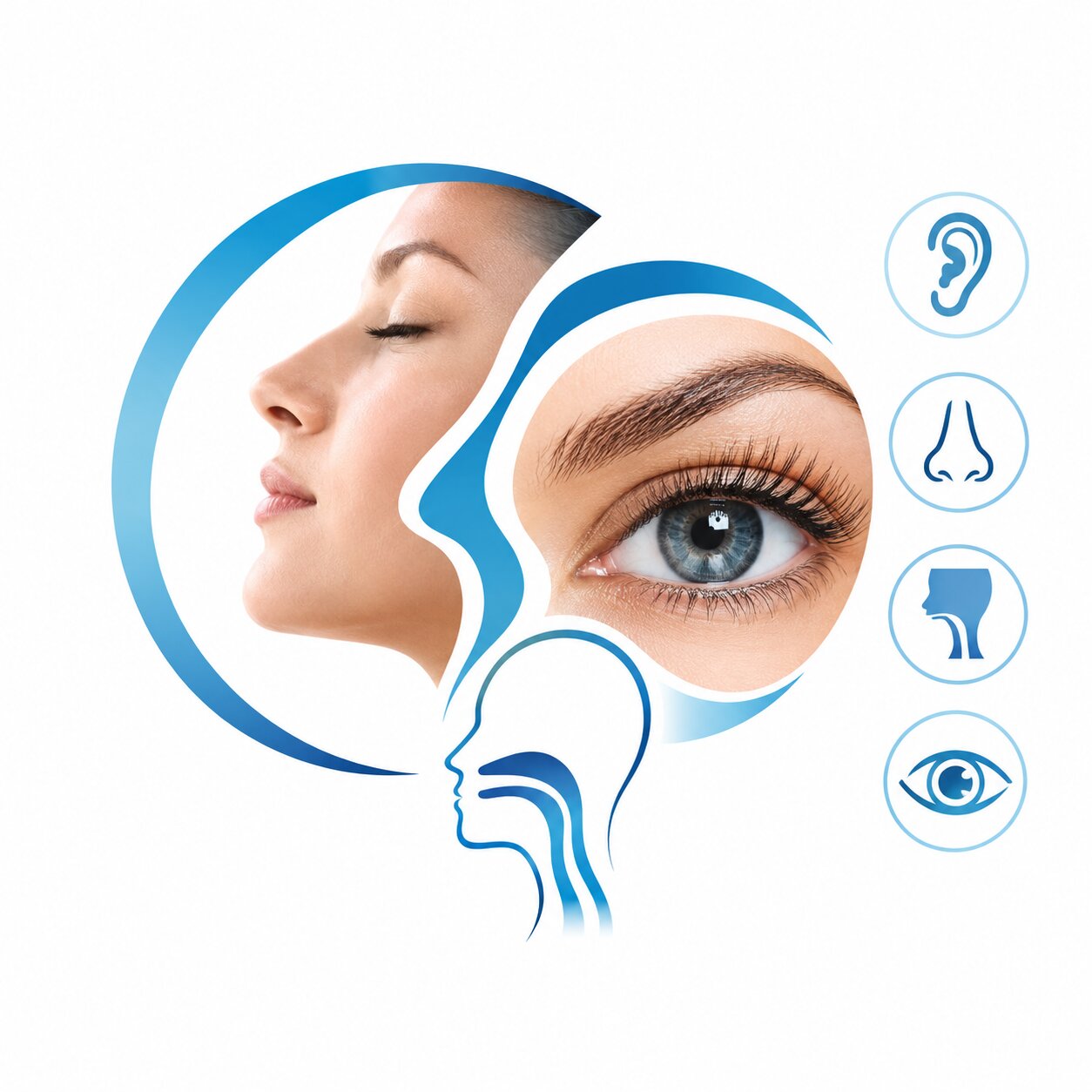 ent specialist in rohini